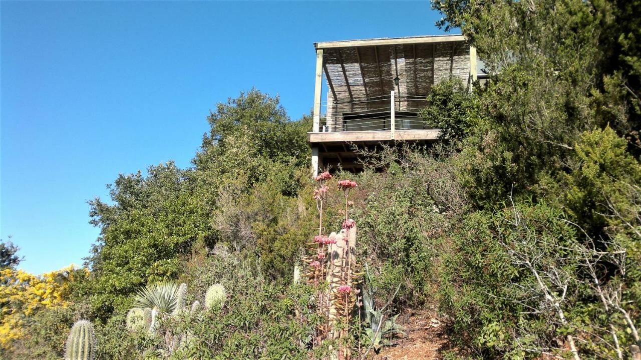 A Altezza Palombaggia Villa Porto-Vecchio  Exterior foto